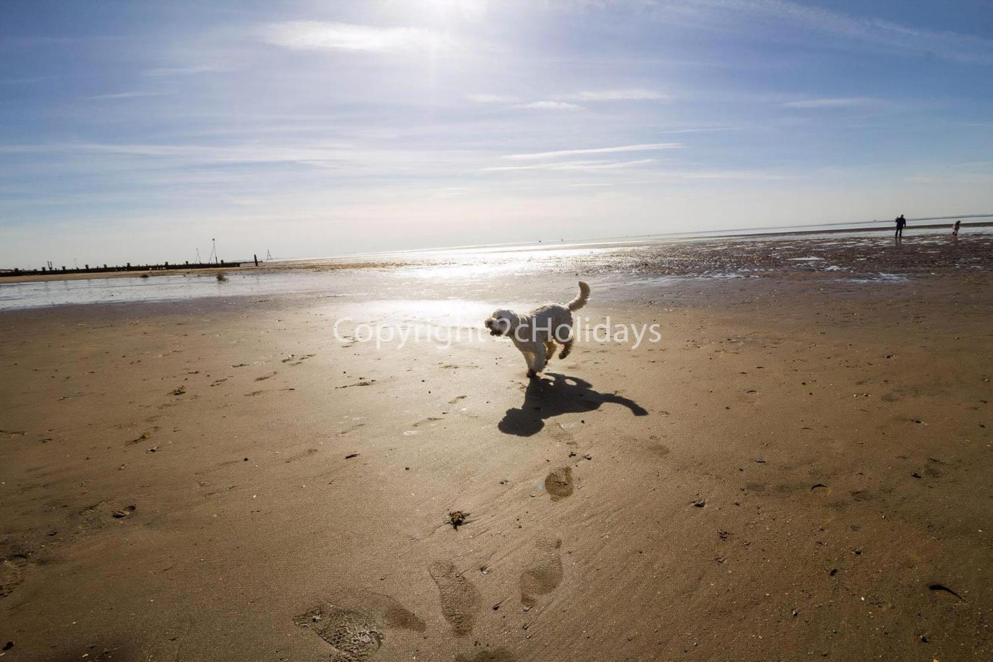 Кемпинг 6 Berth Dog Friendly Caravan In In Norfolk Ref 13014l